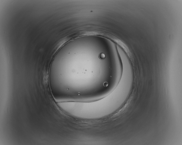 X0000112151193200908211407