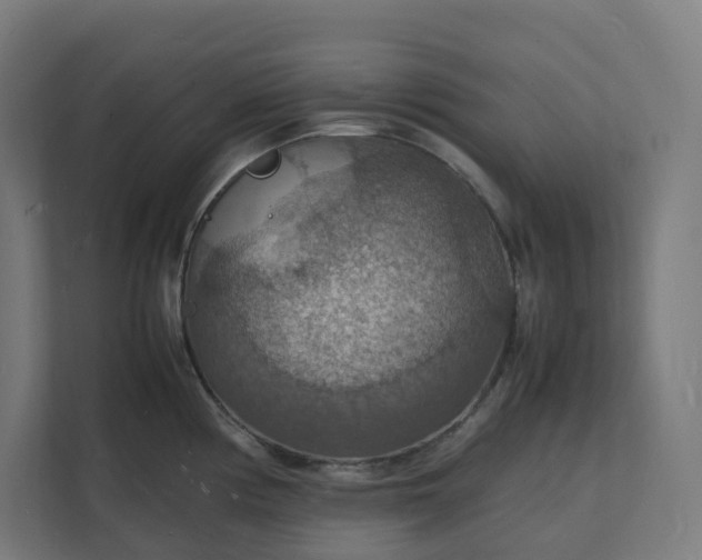 X0000112151194200908211407