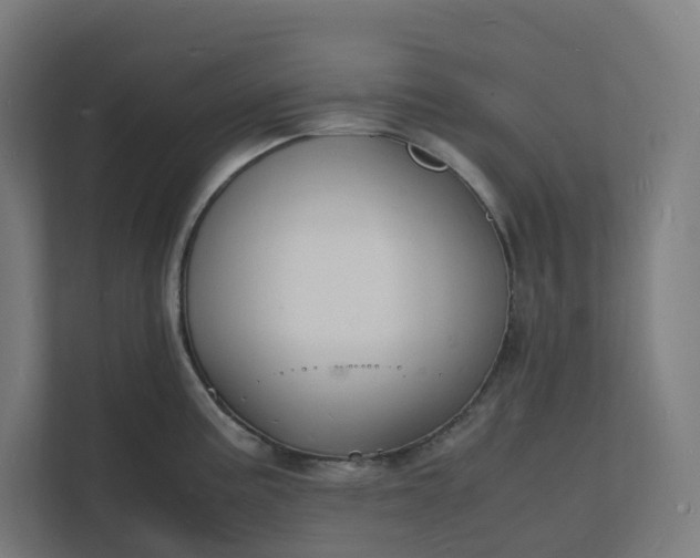 X0000112151195200908211407
