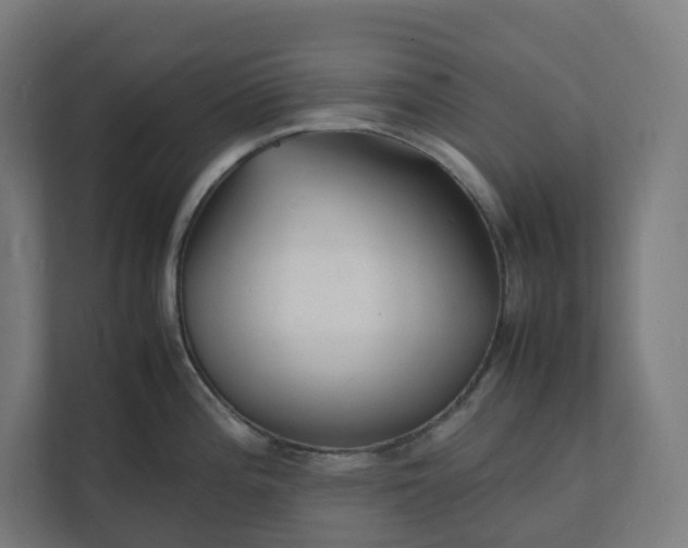 X0000112151196200908211407