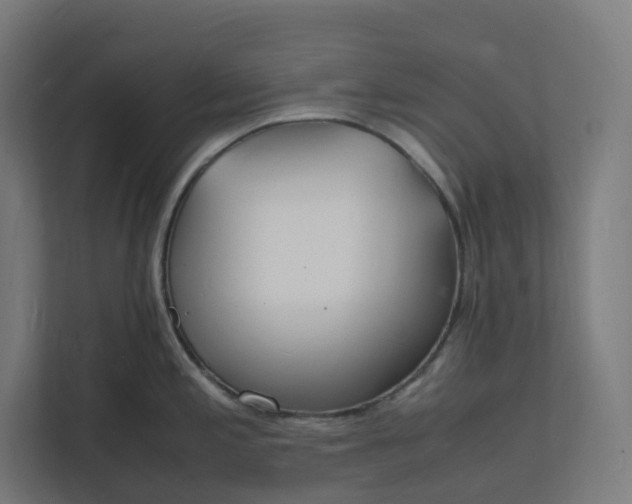 X0000112151197200908211407