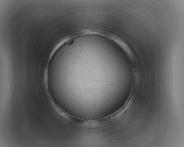 X0000112151198200908211407