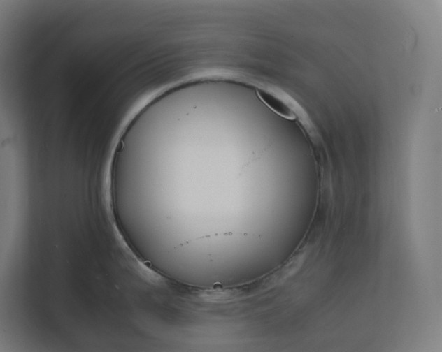 X0000112151199200908211407