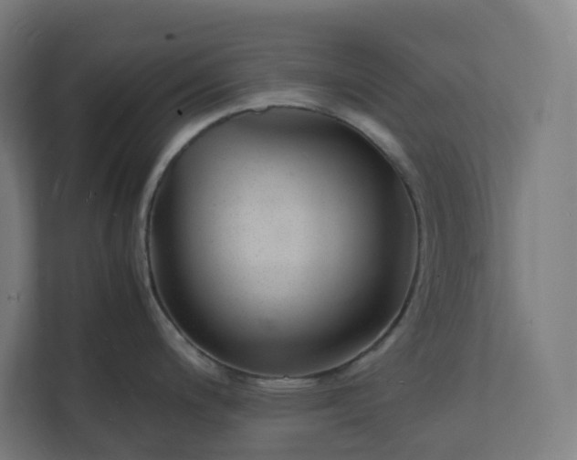 X0000112151200200908211407
