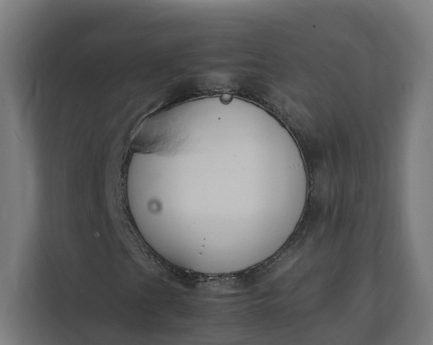 X0000112151201200908211407