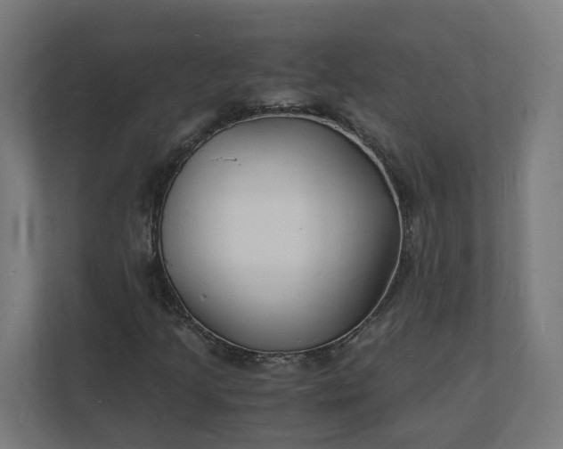 X0000112151205200908211407