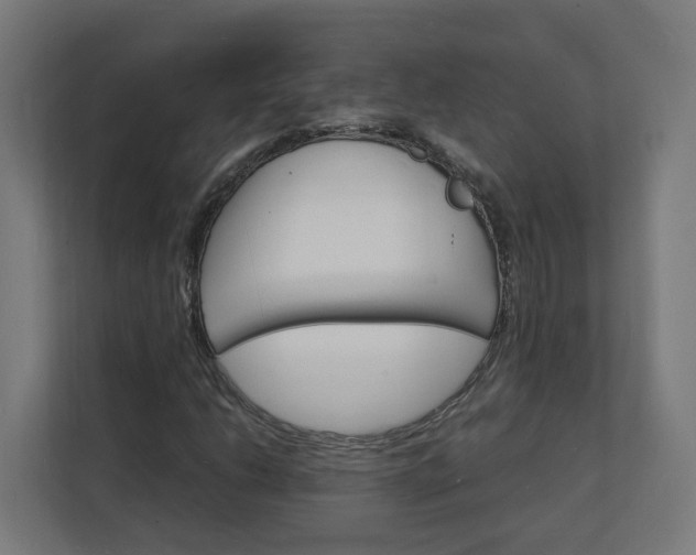 X0000112151206200908211407