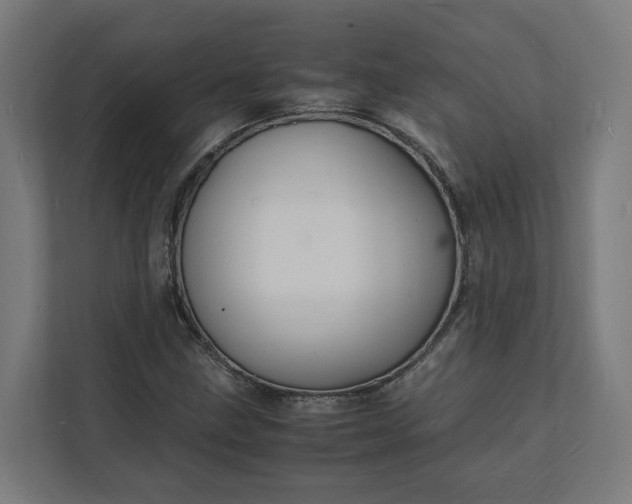 X0000112151211200908211407