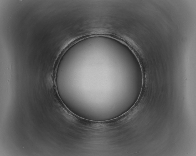X0000112151212200908211407