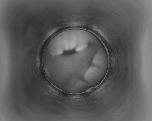 X0000112151213200908211407