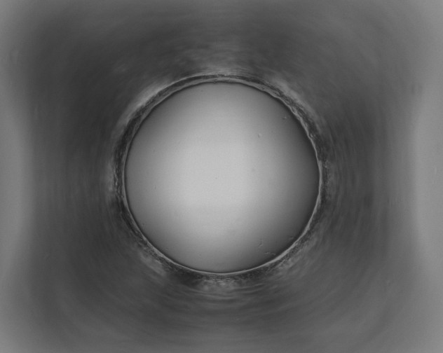 X0000112151215200908211407