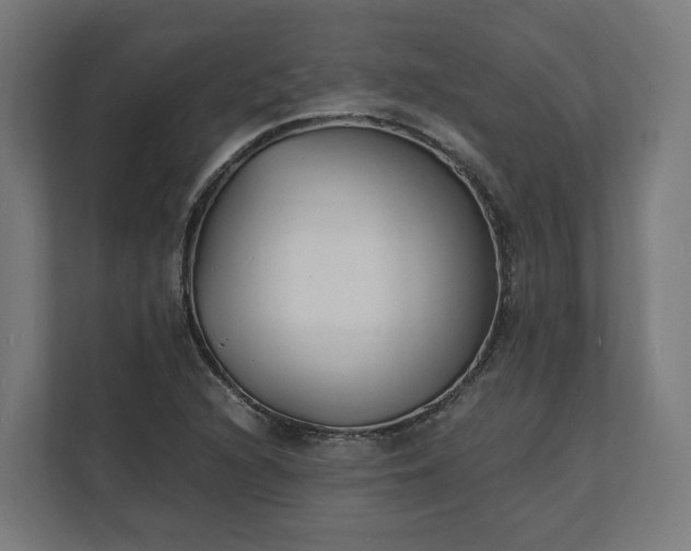 X0000112151216200908211407