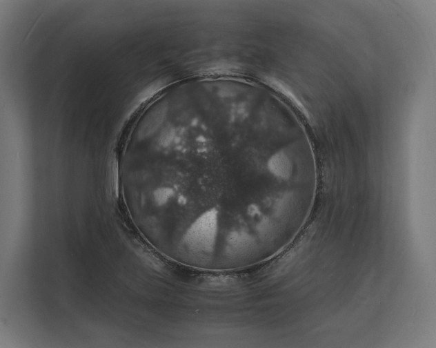 X0000112151219200908211407