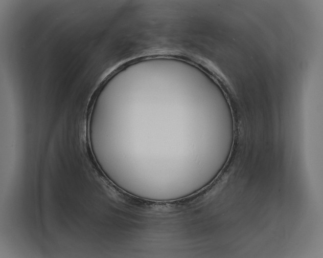 X0000112151220200908211407