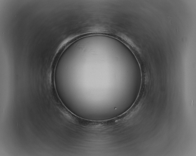X0000112151222200908211407