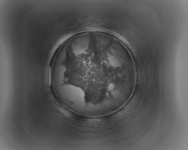 X0000112151223200908211407