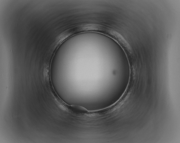 X0000112151225200908211407