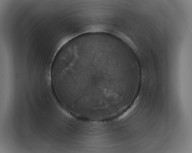 X0000112151226200908211407
