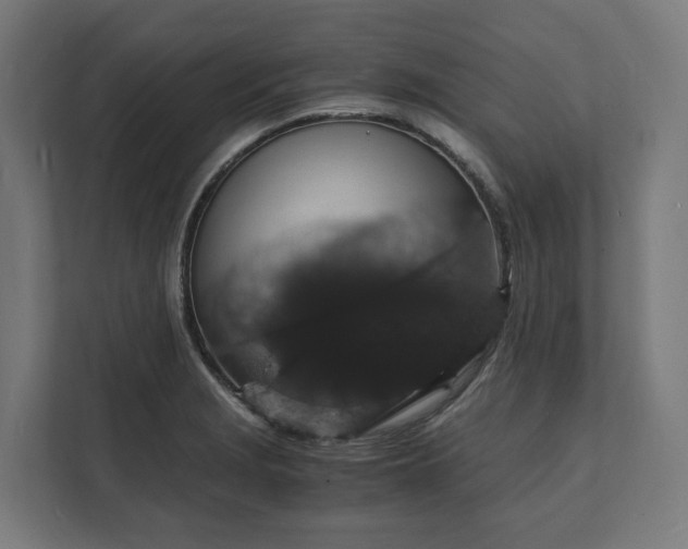 X0000112151229200908211407