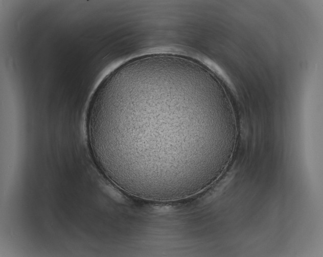 X0000112151230200908211407