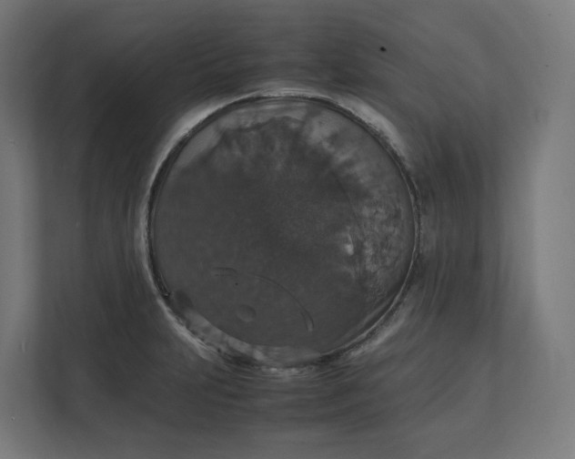 X0000112151231200908211407