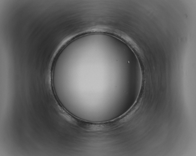 X0000112151232200908211407