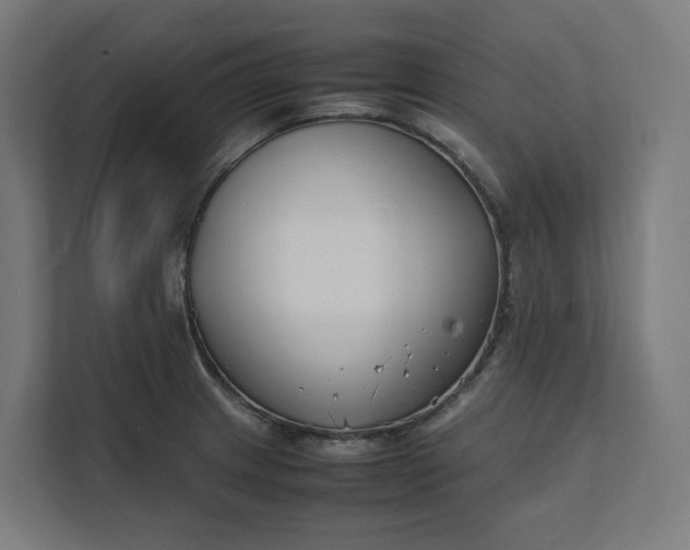 X0000112151233200908211407