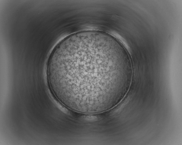 X0000112151235200908211407