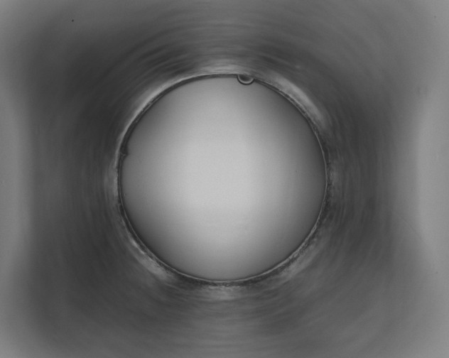 X0000112151236200908211407