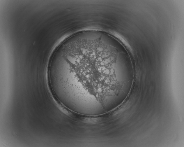X0000112151237200908211407