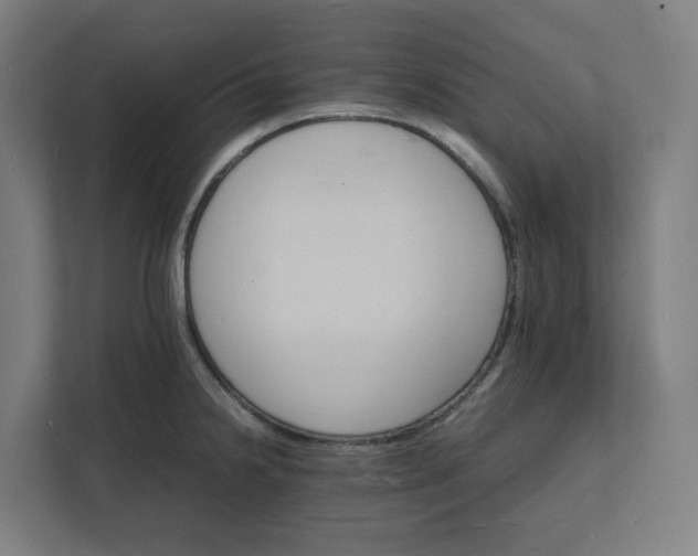 X0000112151238200908211407