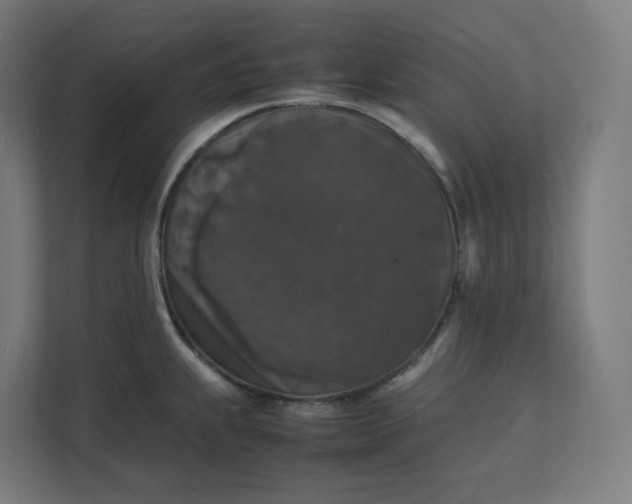 X0000112151239200908211407