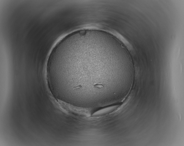 X0000112151240200908211407