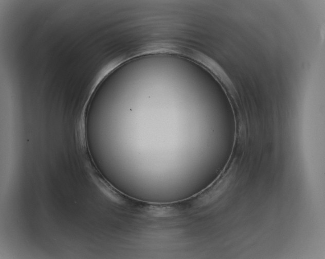 X0000112151242200908211407