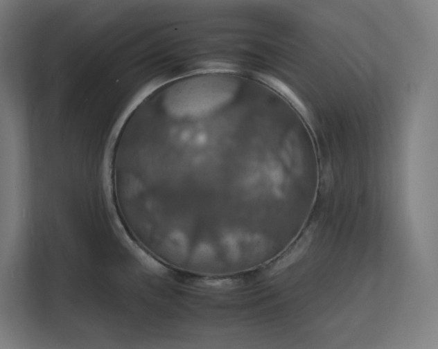 X0000112151243200908211407