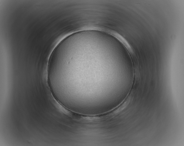 X0000112151244200908211407