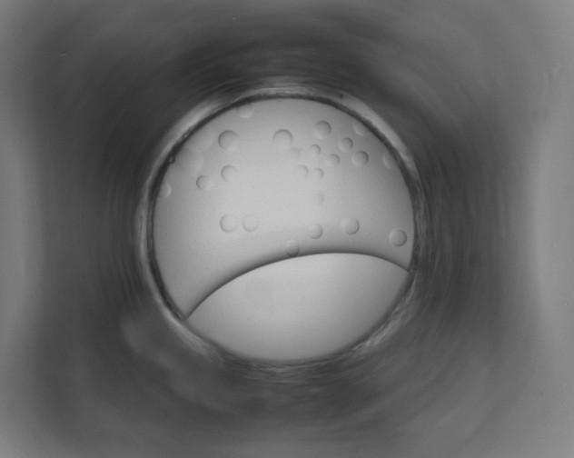 X0000112151245200908211407