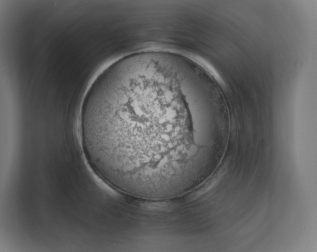 X0000112151247200908211407