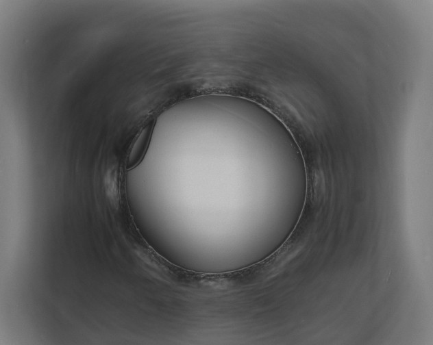X0000112151250200908211407