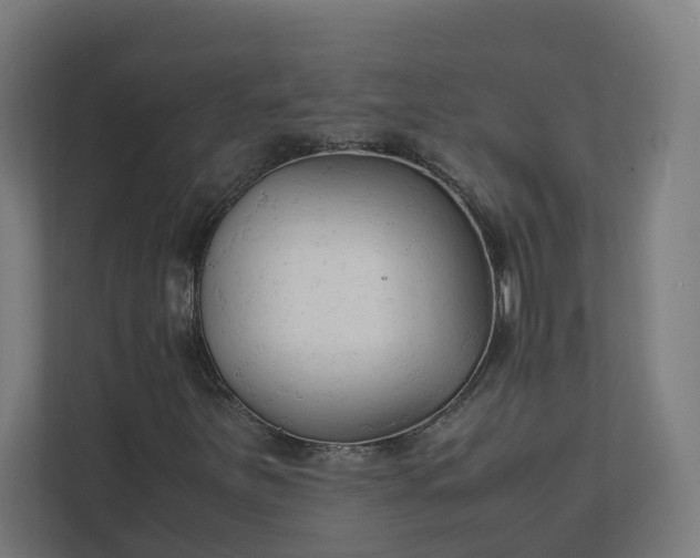 X0000112151251200908211407