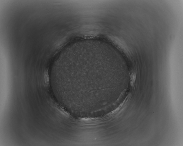 X0000112151252200908211407