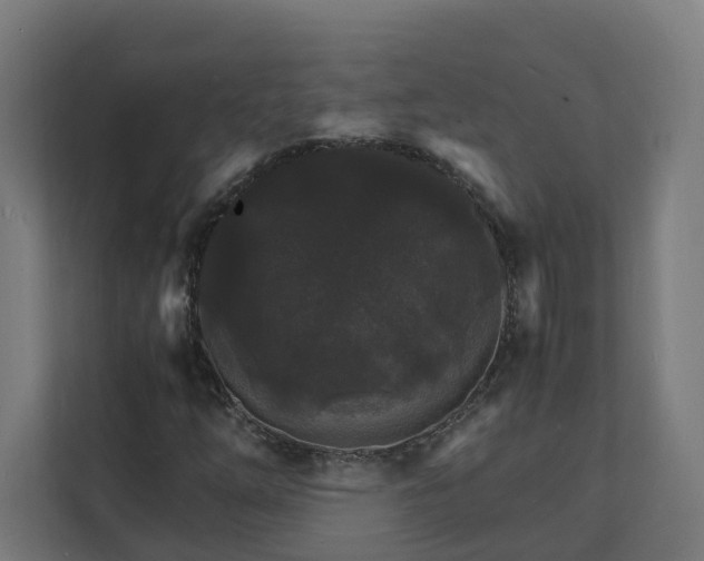 X0000112151254200908211407