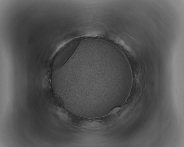 X0000112151256200908211406