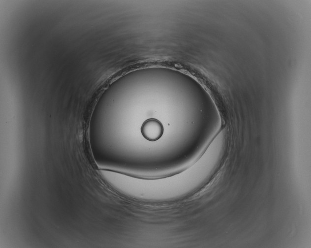 X0000112151257200908211406