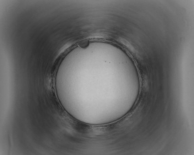 X0000112151258200908211406