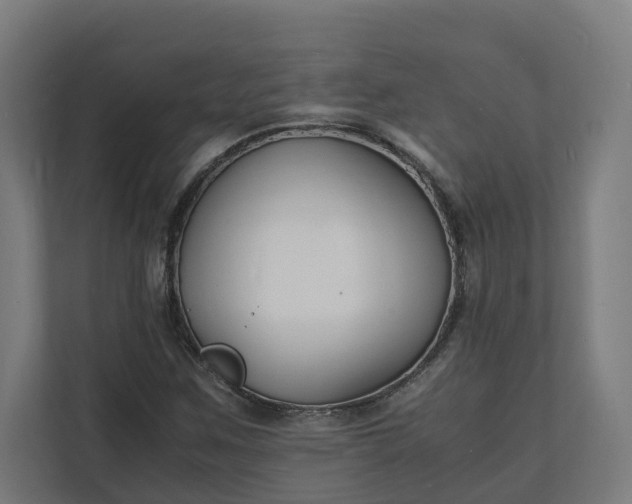 X0000112151259200908211406