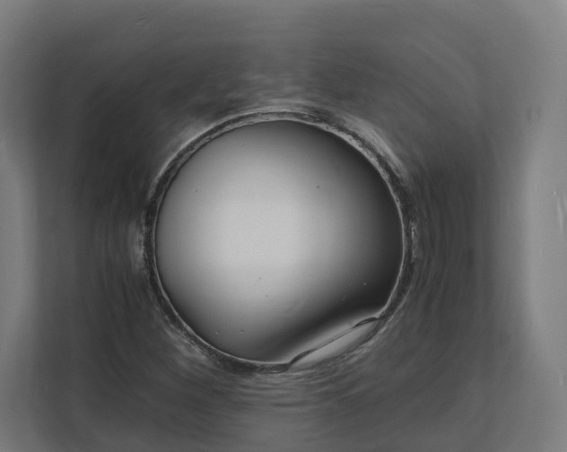 X0000112151260200908211406