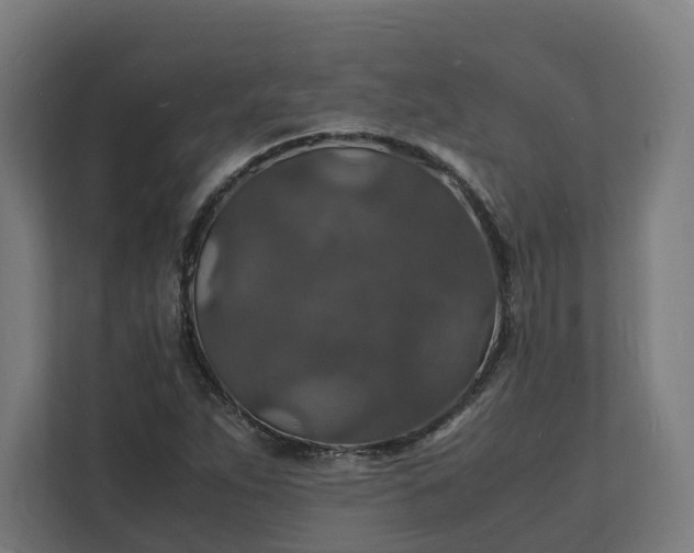 X0000112151263200908211406