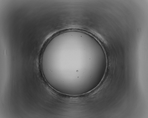 X0000112151264200908211406