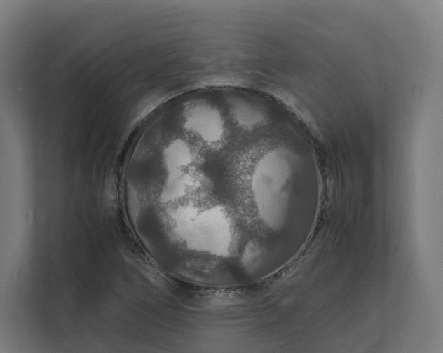 X0000112151266200908211406